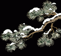 备受注目的银川江