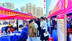 博罗县2026年“南粤